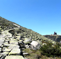 05.jpg