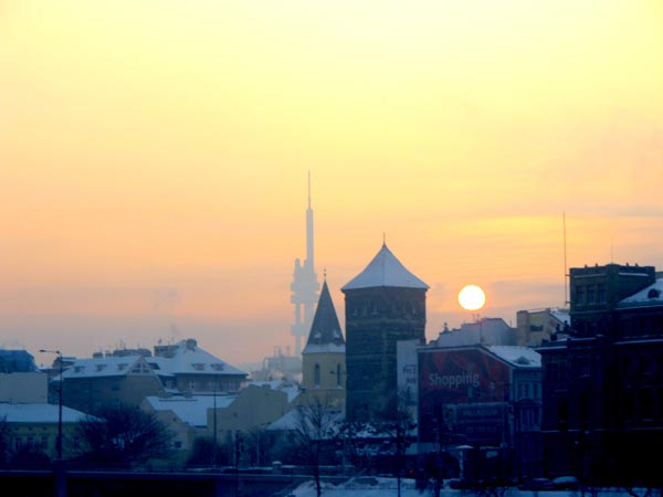 IMG_4141.jpg